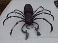 Превью изделия - Кованые перила с узором в форме паутины и пауком